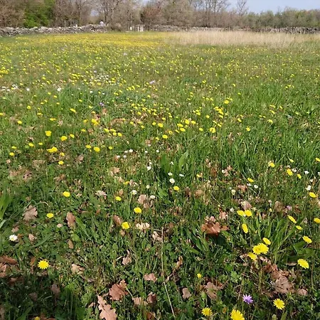 Villa Alba *